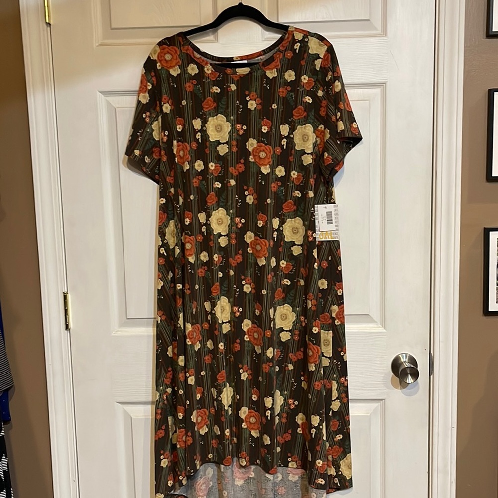 NWT 3XL LuLaRoe Carly Dress
